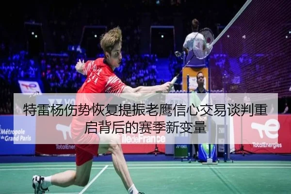 特雷杨伤势恢复提振老鹰信心交易谈判重启背后的赛季新变量